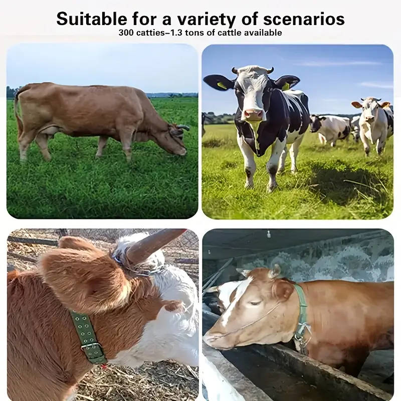 Heavy Duty Canvas Livestock Halter S