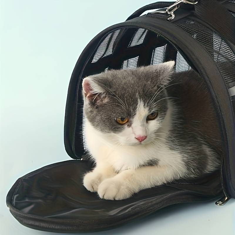1pc Blacksize S Pet Bag