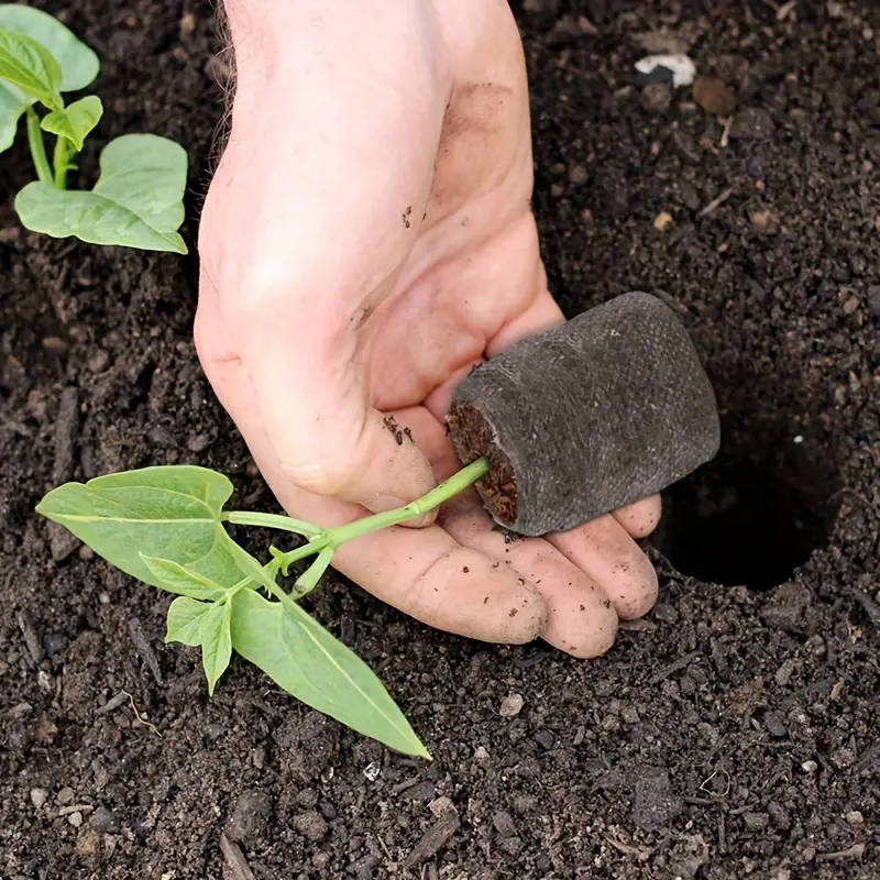 Seed Starter