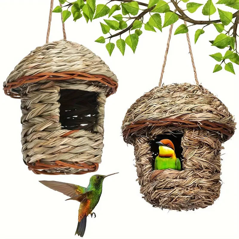 Small Bird Feeder
