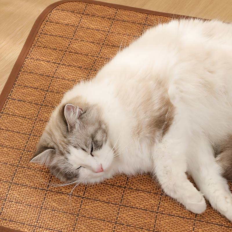 1Pc Cooling Pad