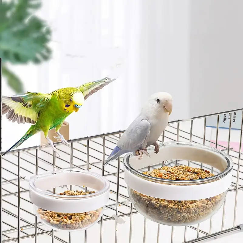 Bird Feeder