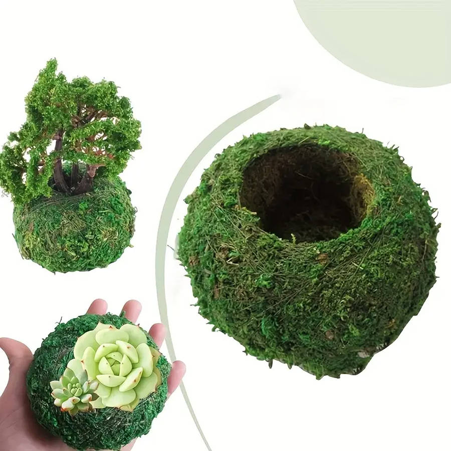 Exquisite Moss Plant Planting Container