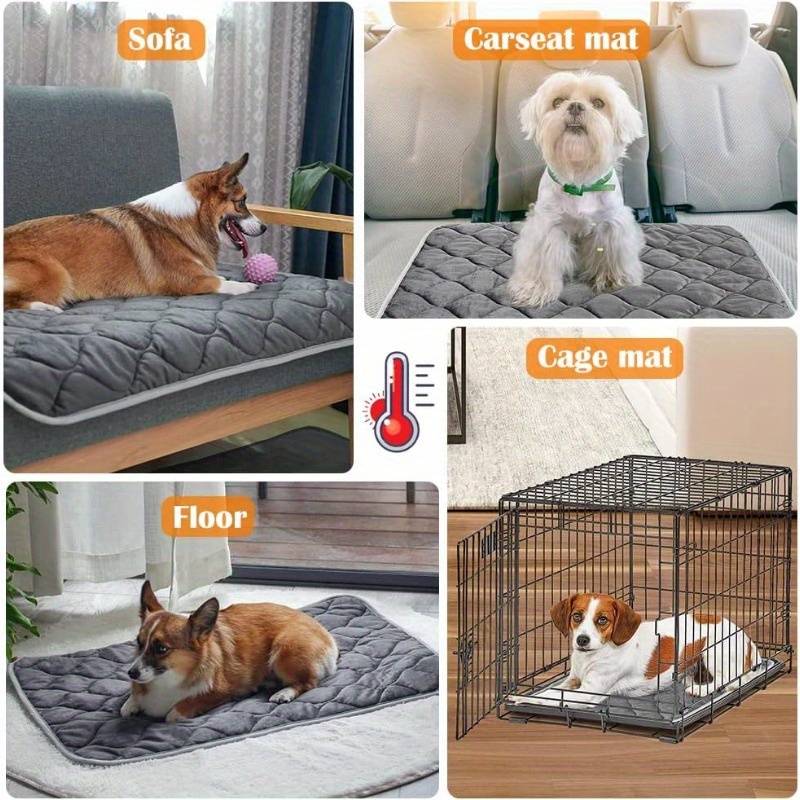 1PC Pet Mat Blue Size Medium 48x70cm 19x28Inch