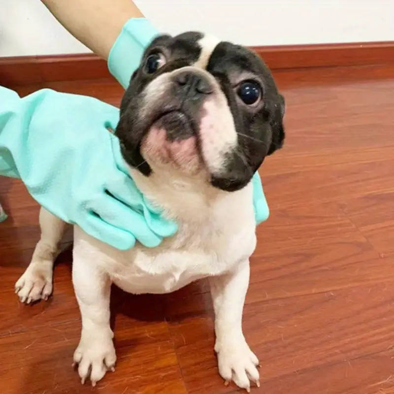 Silicone Pet Grooming Gloves