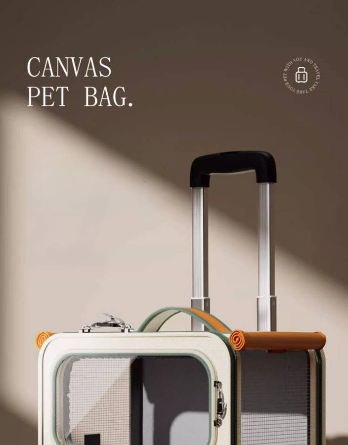 1pc Mesh_backpack Pet Bag
