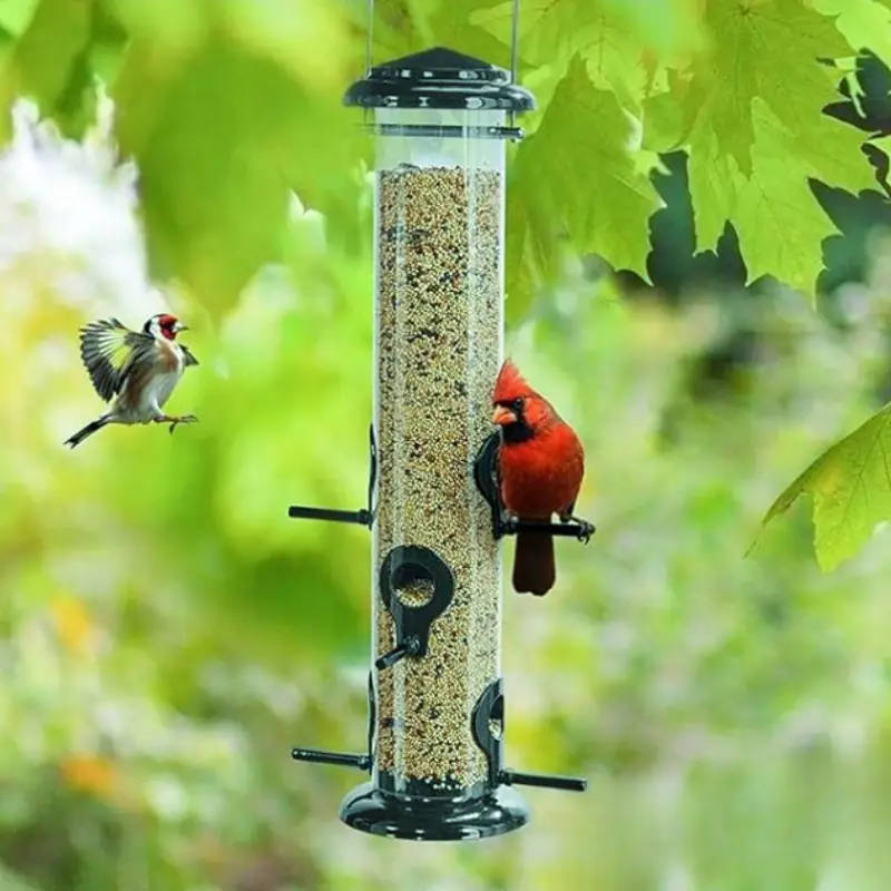 Small Bird Feeder
