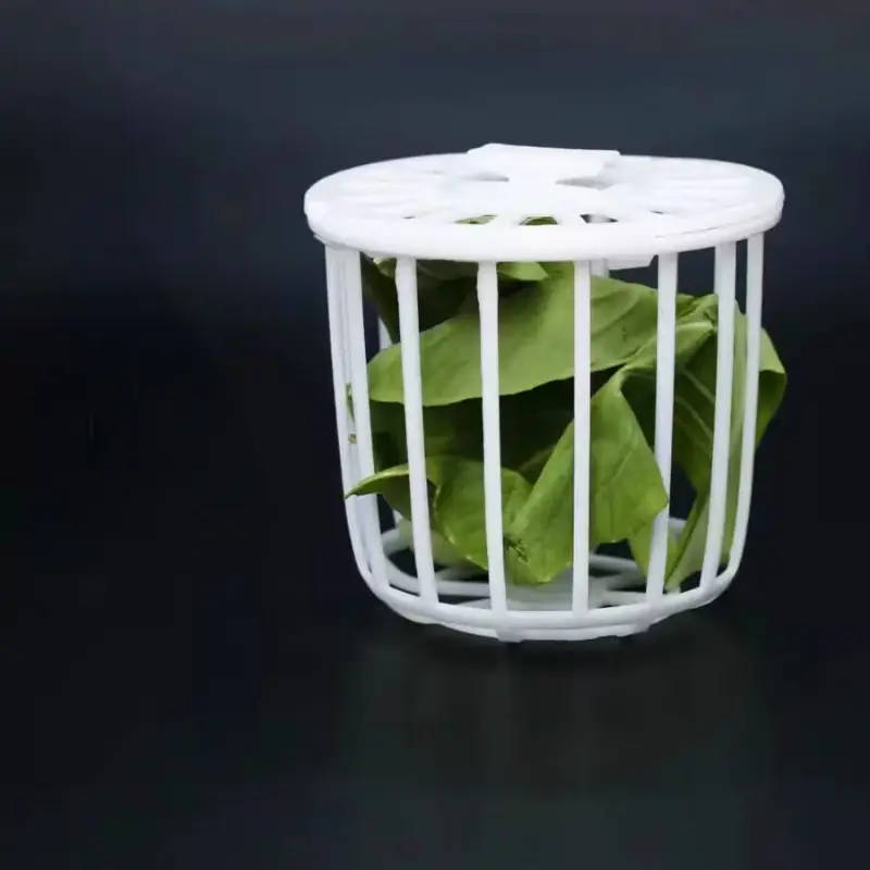 Small Bird Feeder
