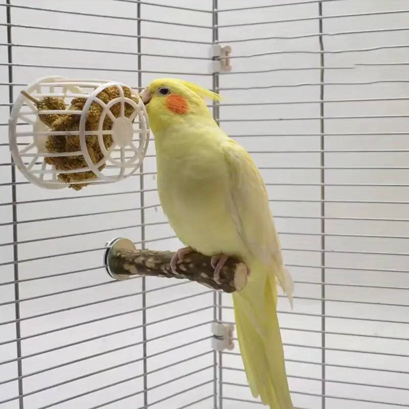 Small Bird Feeder
