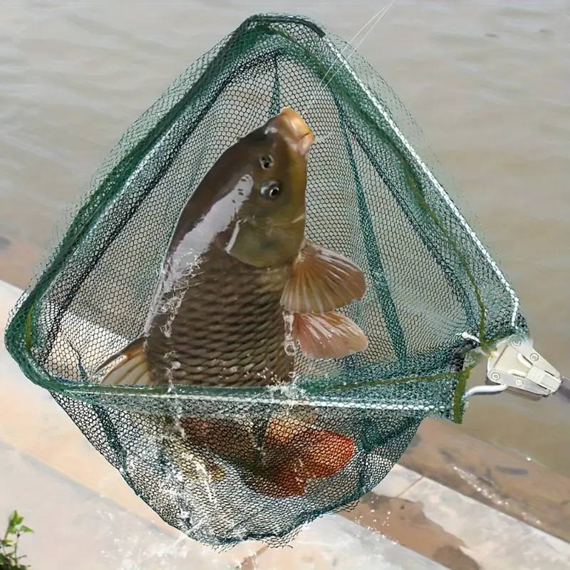 Telescopic Expandable Fishing Net
