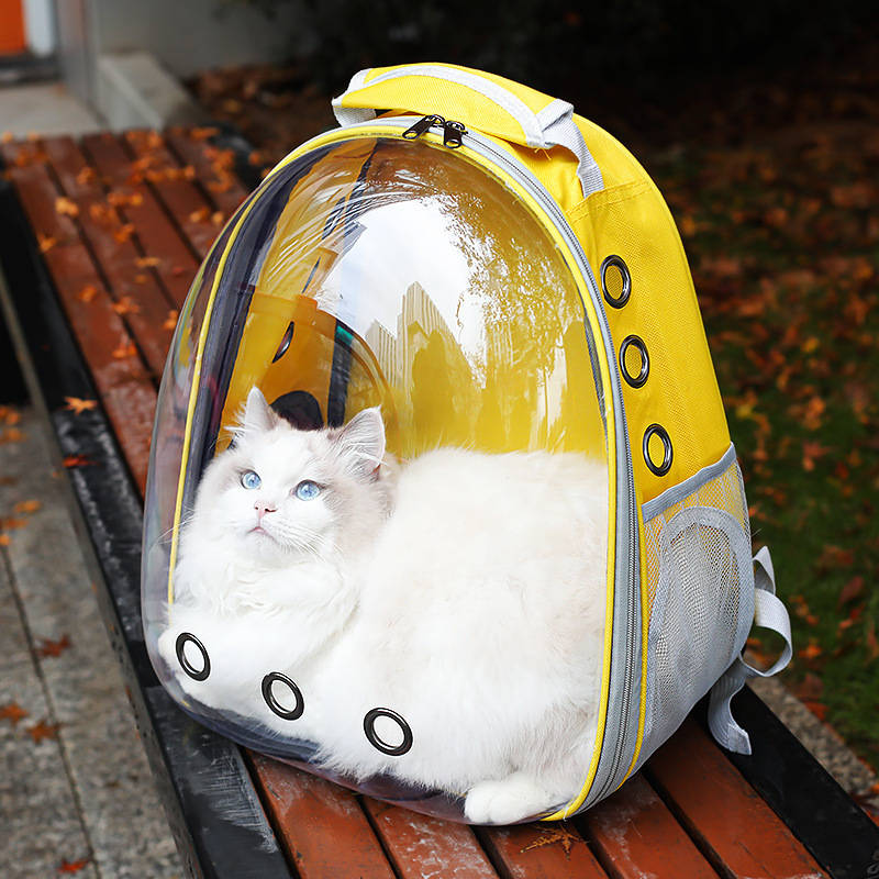 1pc Panoramic Transparent Green Pet Bag