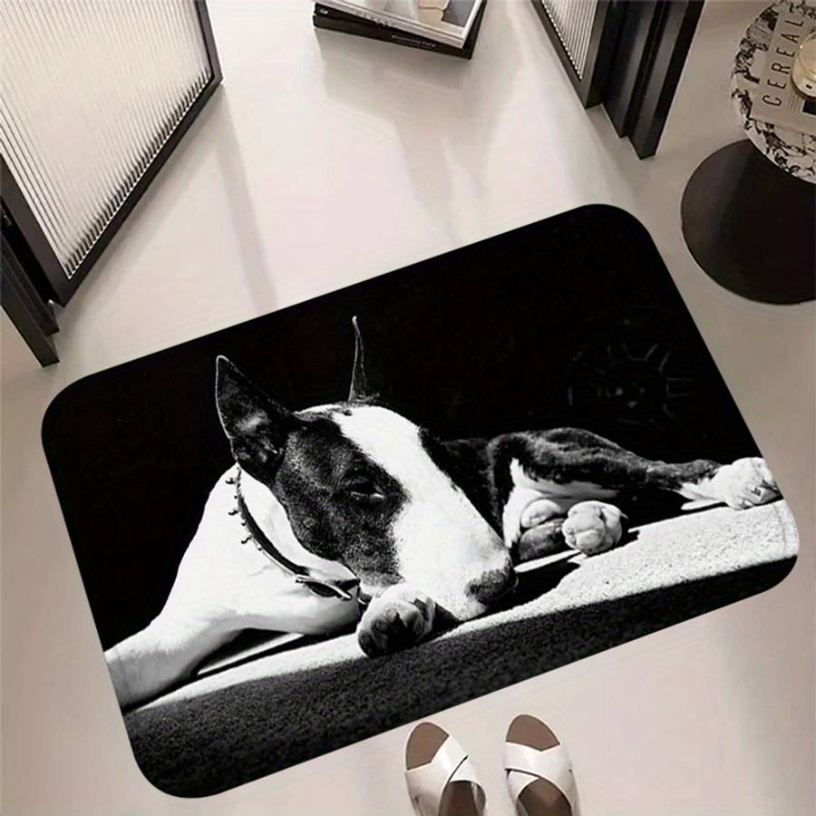 1Pc 40x60cm 15.74x23.62inch Floor Mat