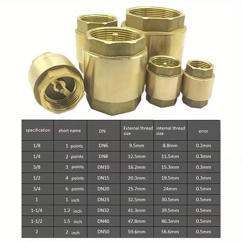 1 Piece Brass Check Valve With Npt Internal Thread