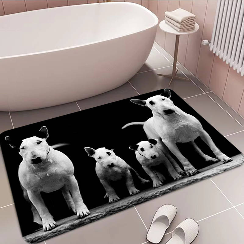 1Pc 40x60cm 15.74x23.62inch Floor Mat