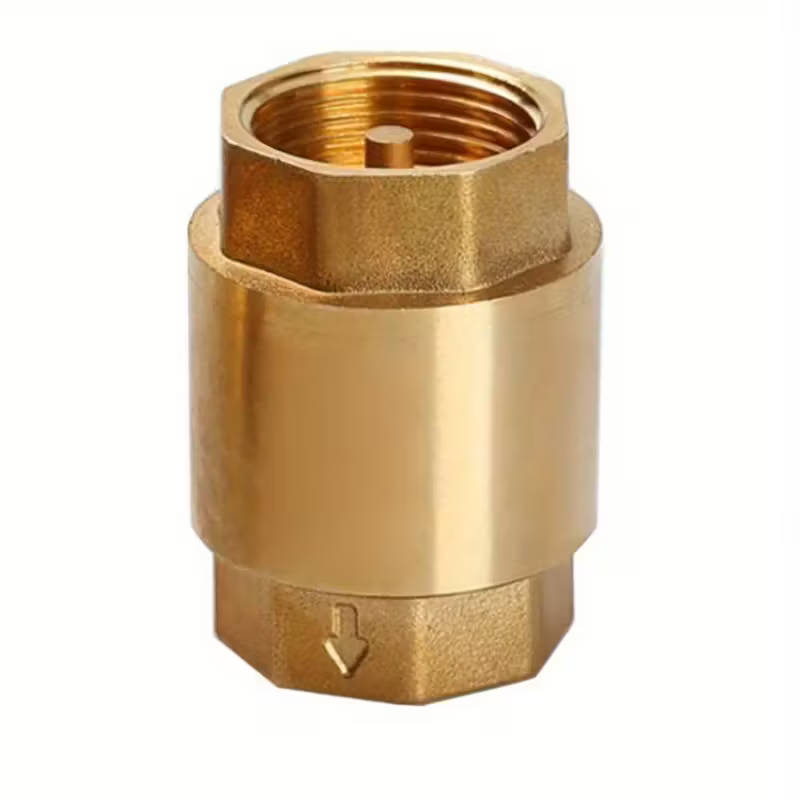 1 Piece Brass Check Valve With Npt Internal Thread