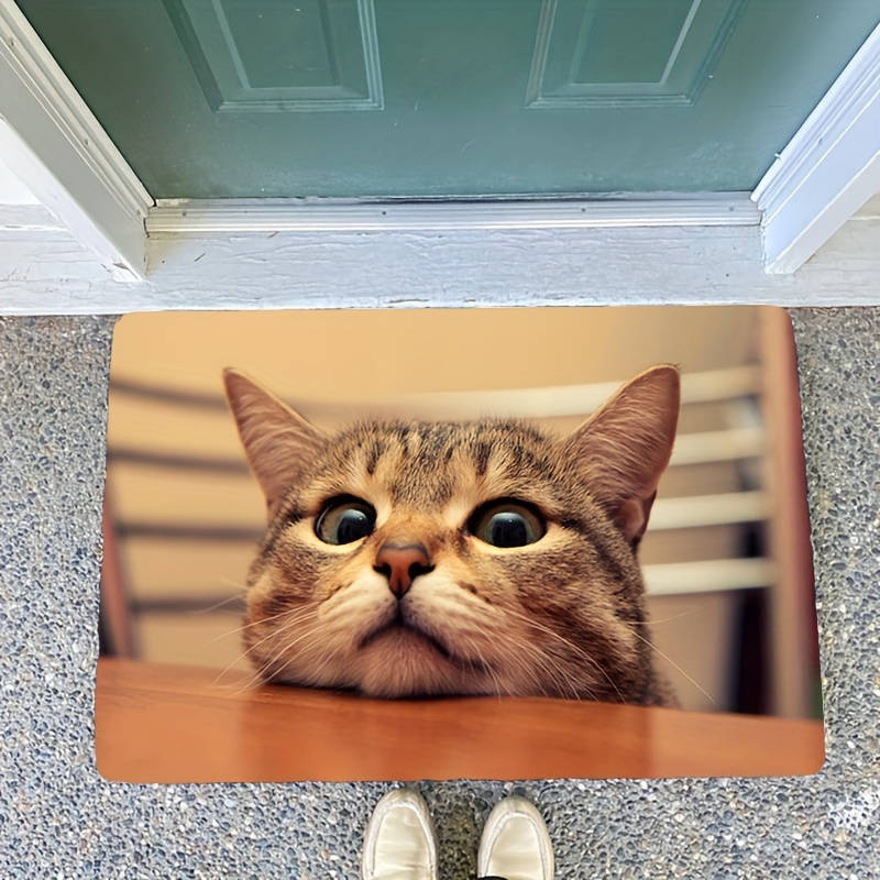 1Pc 50x80cm 19.7x31.5inch Floor Mat