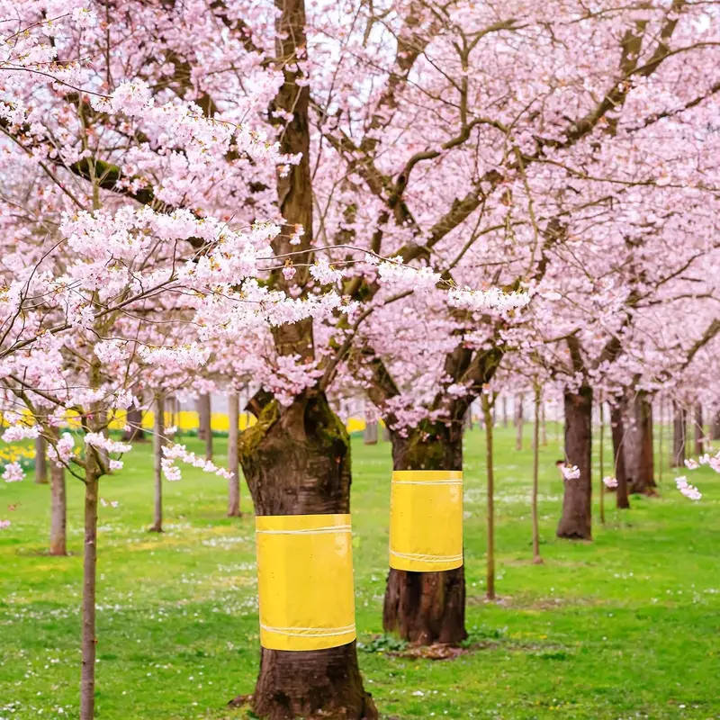 Self-Adhesive Fruit Tree Grafting Tape