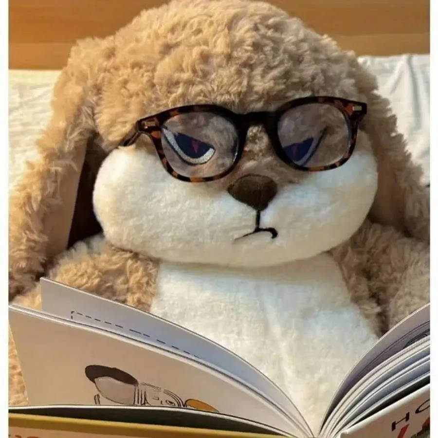 A Cute And Cool Plush Bunny Doll