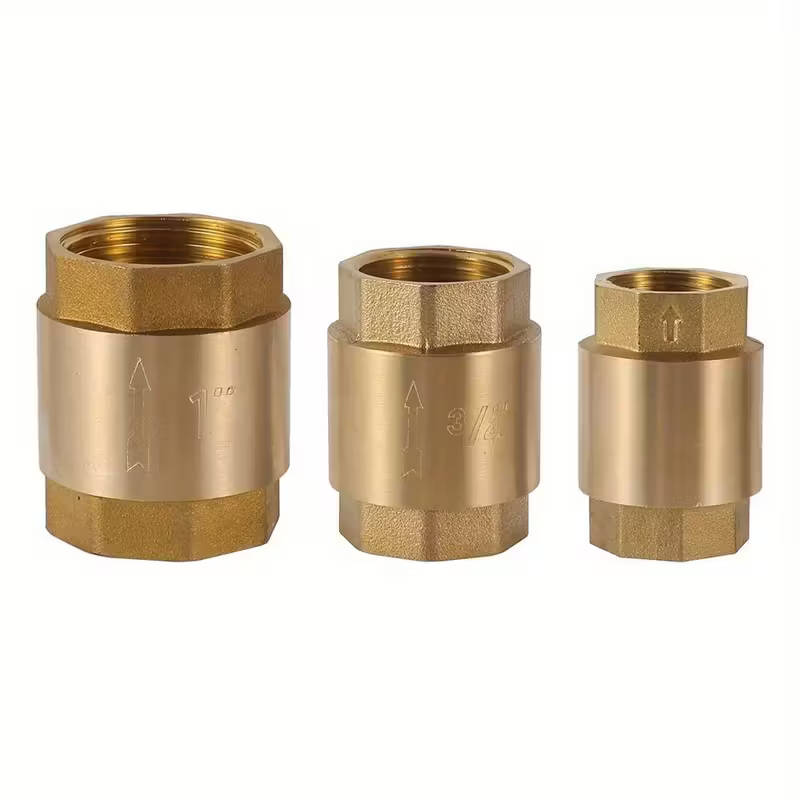 1 Piece Brass Check Valve With Npt Internal Thread