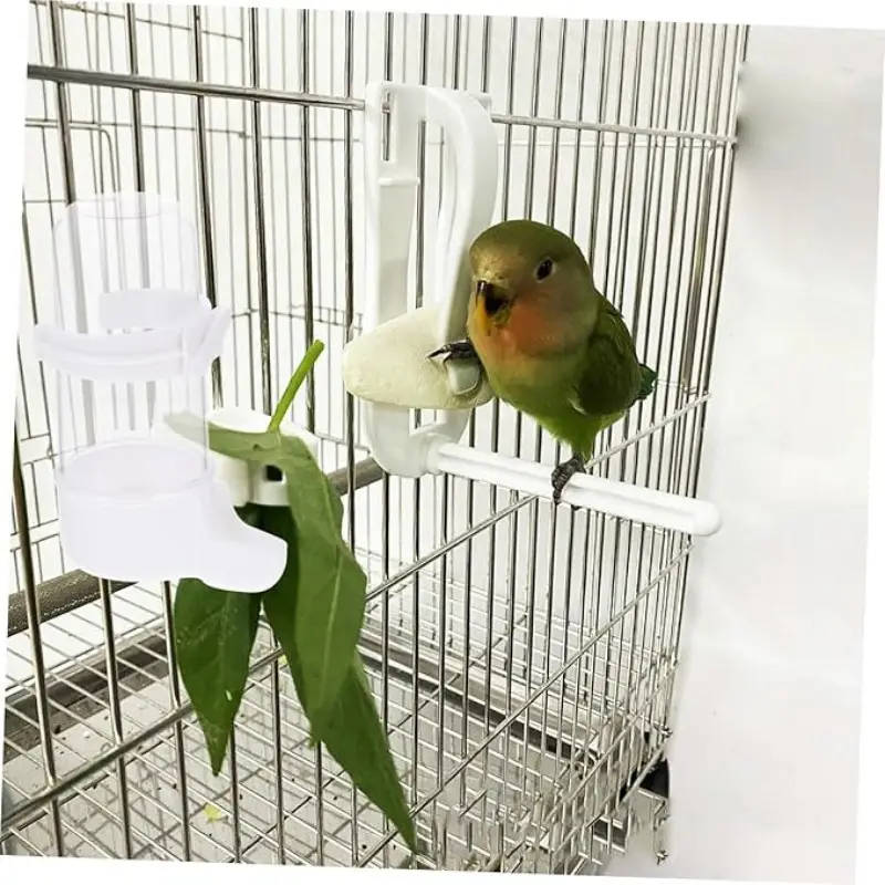 Small Bird Feeder