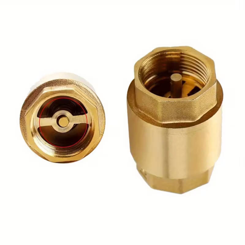 1 Piece Brass Check Valve With Npt Internal Thread