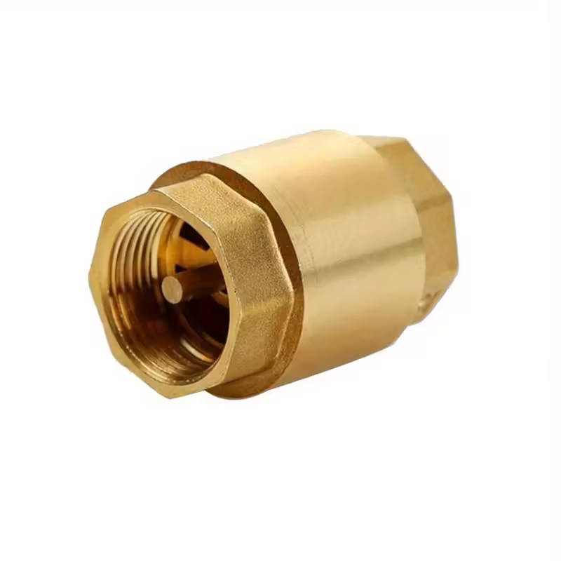 1 Piece Brass Check Valve With Npt Internal Thread