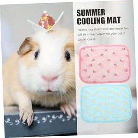 1piece S  21X31Cm  Cooling Pad