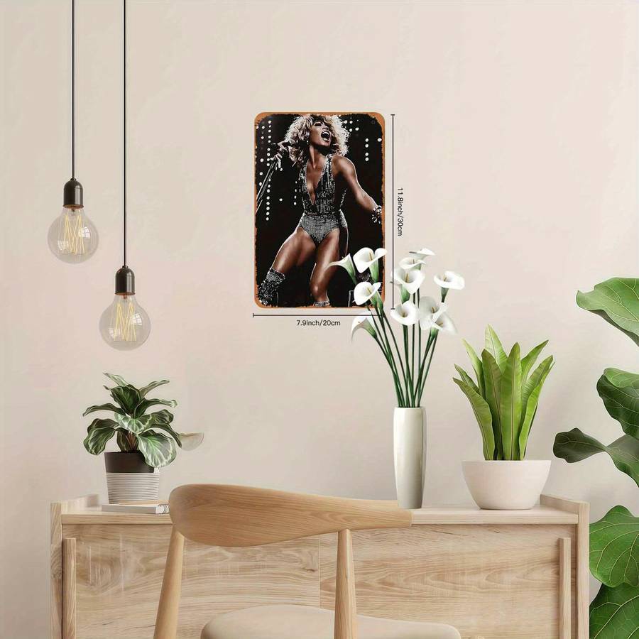 Vintage Tina Turner Retro Metal Wall Art Plaque Rustic 2D Iron Decor