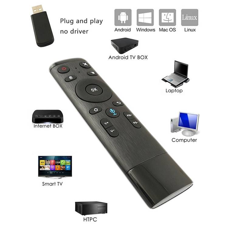 Q5 Gyroscope + Voice Foreign Version USB 2.4G Wireless Voice Flying Mouse Remote Control, Support Se