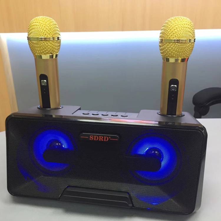 SDRD SD-301 2 in 1 Family KTV Portable Wireless Live Dual Microphone + Bluetooth Speaker(Black)
