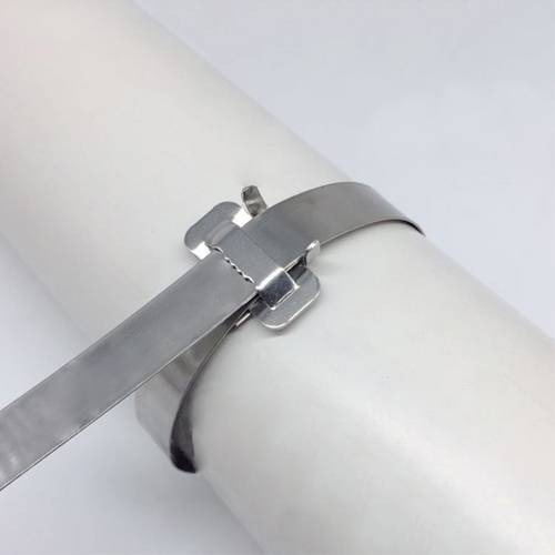 100 PCS 15.88mm 304 Stainless Steel Tie Lock Type Cable Wrapped Bundle Buckle