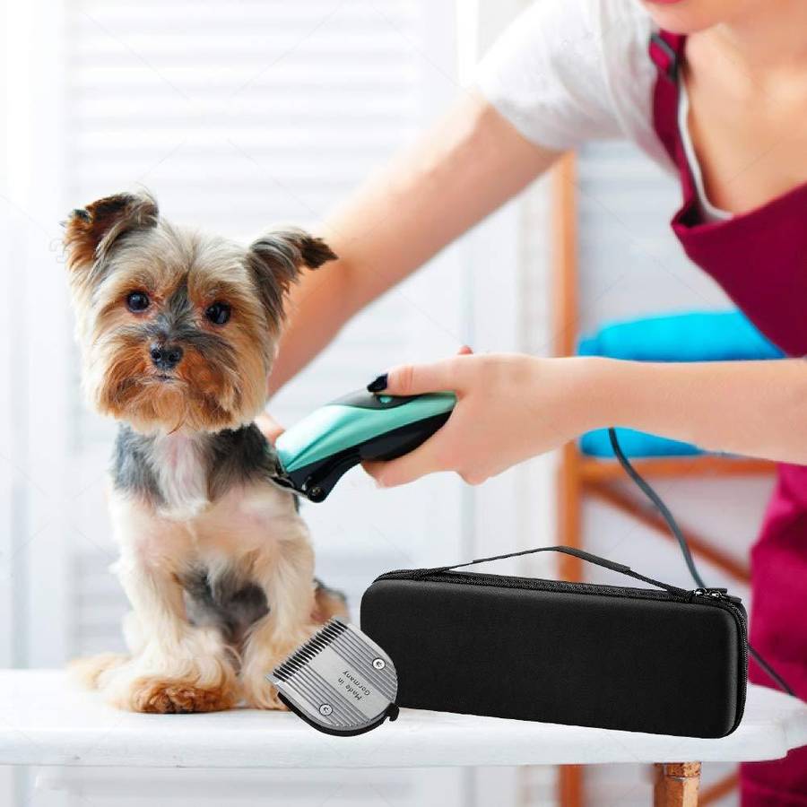 Portable Hair Beauty Grooming Trimmer Replacement Blade Hard Storage Box with 12 Built-in Blade St