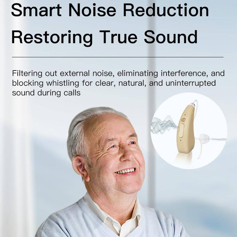 16-Channel Digital Hearing Aid Elderly Sound Amplifier With Digital Display Space Charging Box(Skin
