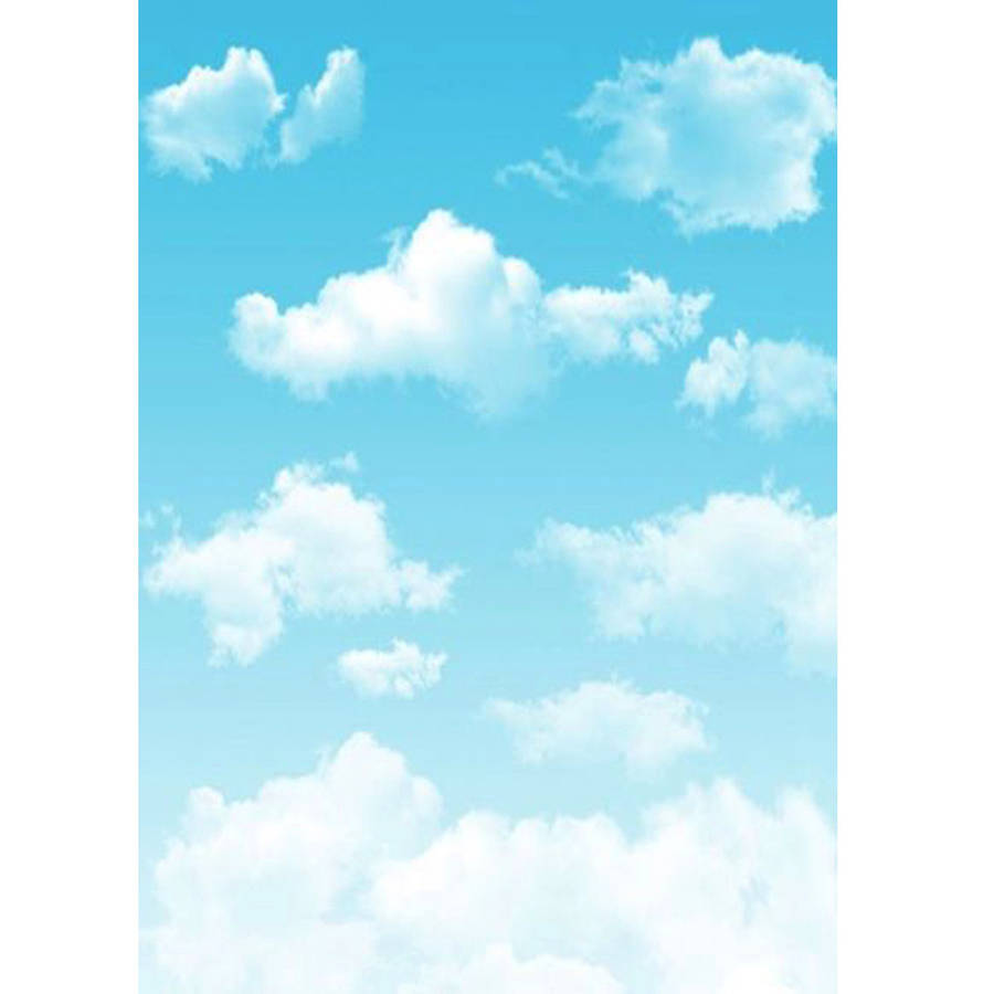 3x5FT Blue Sky White Clouds Backdrop Studio Photography Outdoor Photo Background
