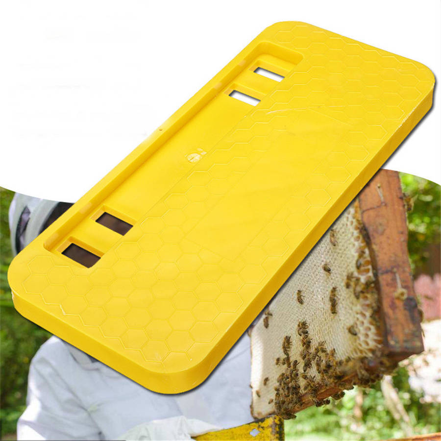 Plastic Beehive Scraper