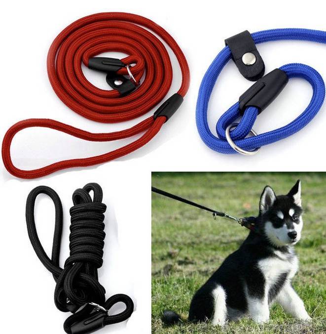 Nylon Rope Pet Dog Slip Training P-Leash Walking Leading Collar