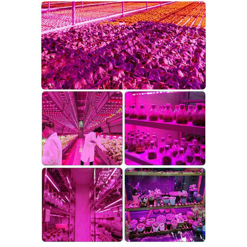 0.5m/1m/3m/5m usb led grow strip light full spectrum indoor plant growing lamp for garden vegetable flower seeds