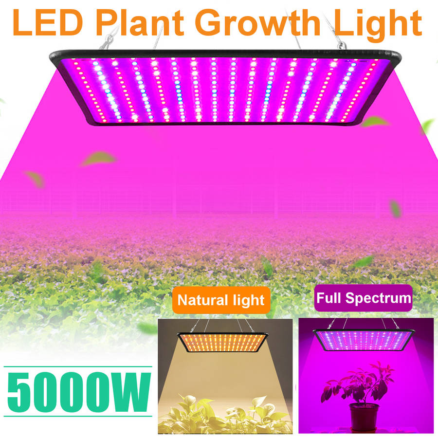 5000W LED Full Spectrum Plant UV Grow Light Veg Lamp For Indoor Hydroponic Plant