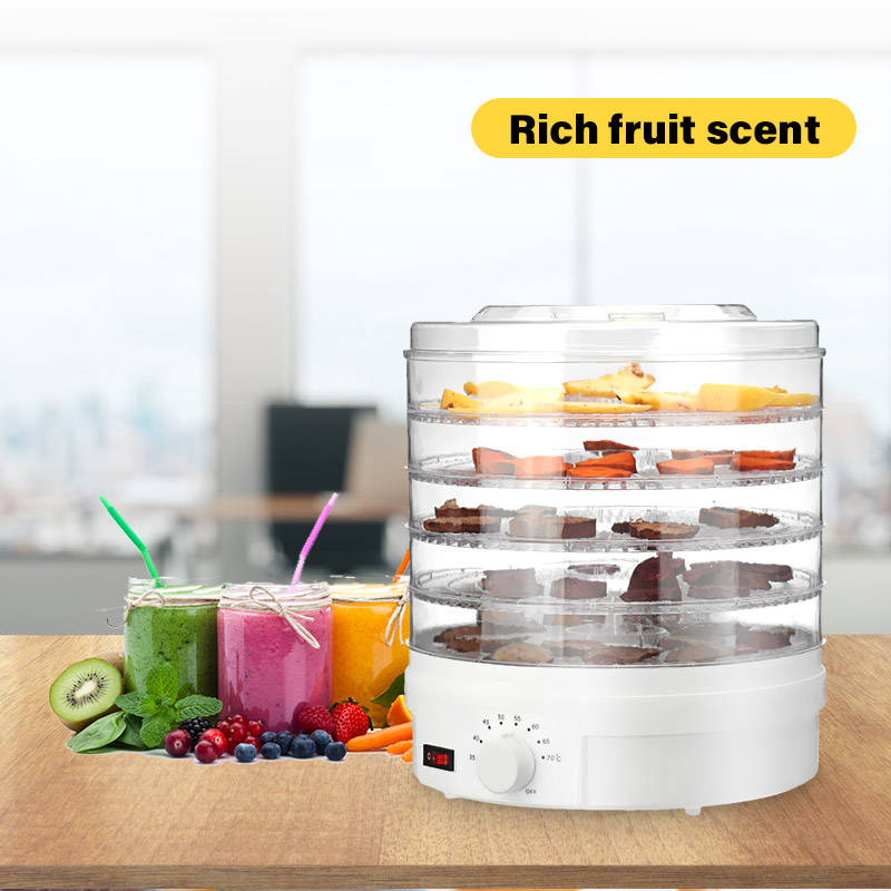 250W Food Dehydrator 5 Tray Shelf Dryer Machine Fruit Preserver Beef Jerky DIY Dried Fruit