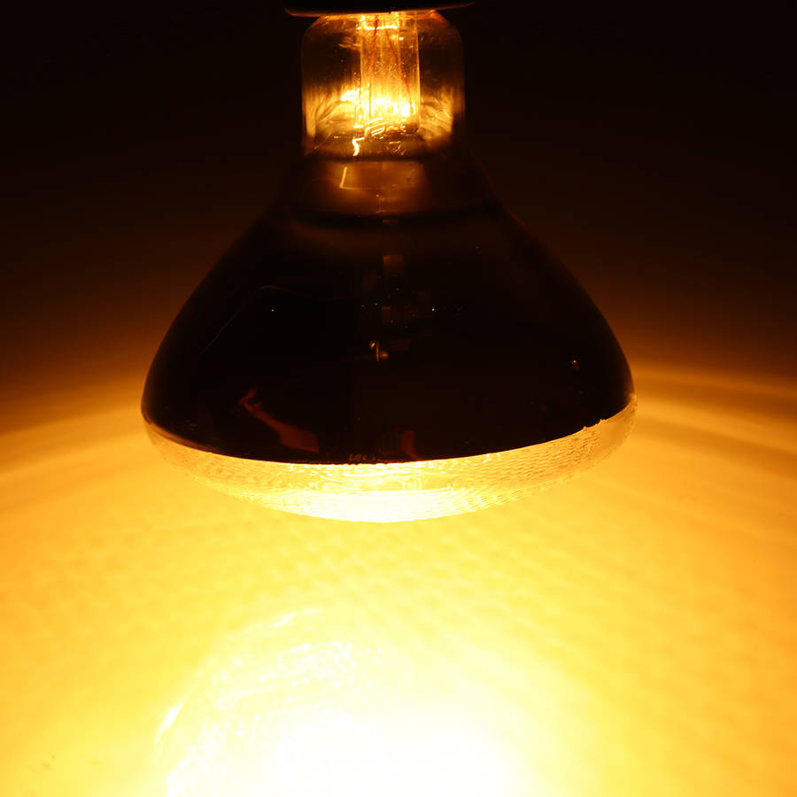 New AC220V 250W Poultry Heat Incubator Lamp Infrared Pet Bulb Warm Light + Lampshade for Anima