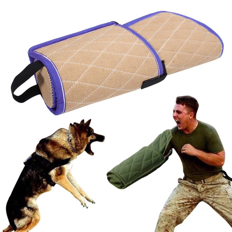 Pet Training Bite Sleeve Arm Protection Intermediate Working Trainer Police Young