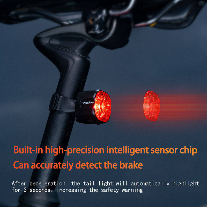 Black - Wind&Moon WT09S Smart USB Rechargeable Waterproof LED Bike Rear Light with Smart Brake Sensi