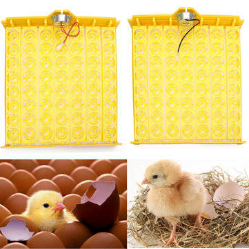 Automatic Egg Incubator 56 Eggs Turner Tray Chicken Quail Duck With 110V/220V (VOLTAGE: 110V)