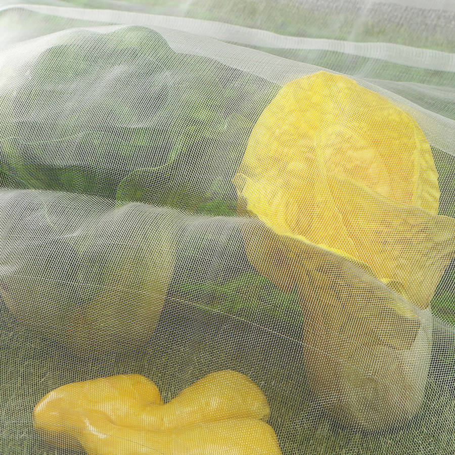 10M/6M x 2.5M Garden Bird Net Netting Vegetables Pest Plant Crops Protect Mesh Anti Bir...-(Size 6M)