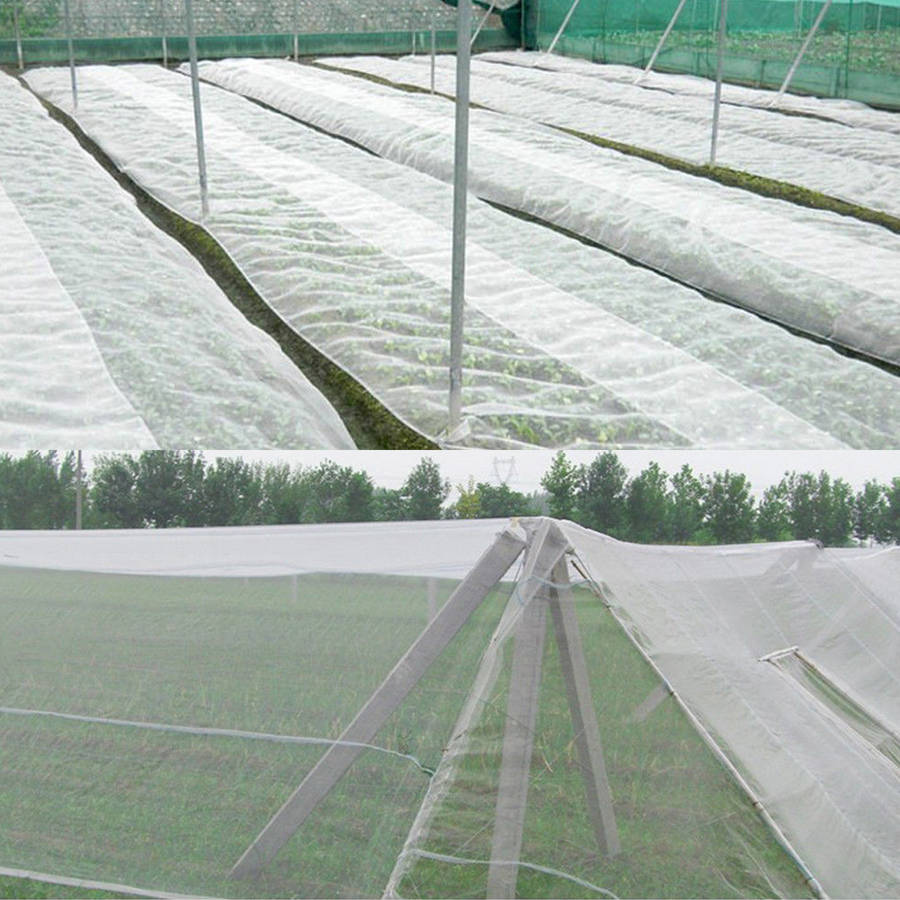 10M/6M x 2.5M Garden Bird Net Netting Vegetables Pest Plant Crops Protect Mesh Anti Bir...-(Size 6M)