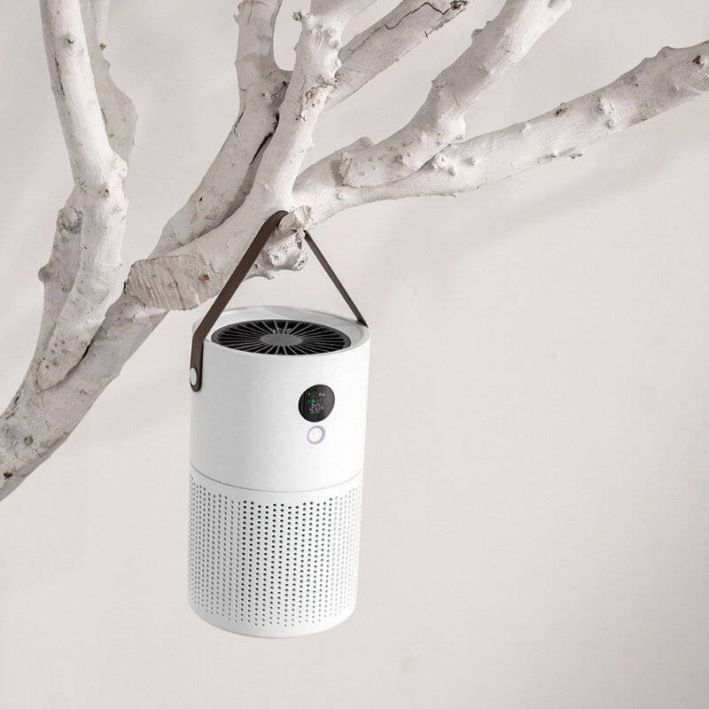 Grey - Kinscoter AP01 Negative Ion Air Purifier Odor Deodorizer Remove Dust Smoke Removal Formaldehy