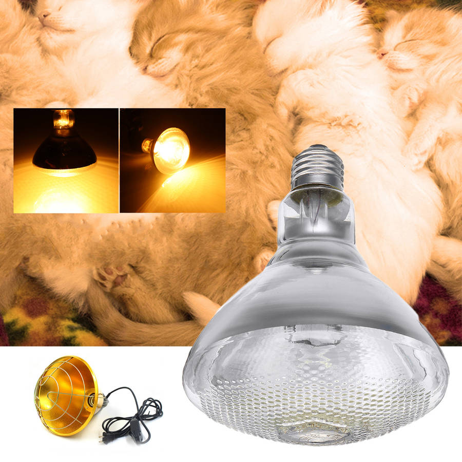 New AC220V 250W Poultry Heat Incubator Lamp Infrared Pet Bulb Warm Light + Lampshade for Anima