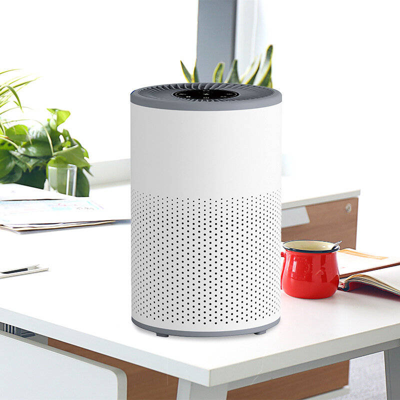 Grey - Kinscoter AP01 Negative Ion Air Purifier Odor Deodorizer Remove Dust Smoke Removal Formaldehy