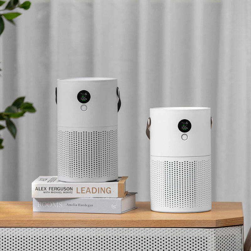 Grey - Kinscoter AP01 Negative Ion Air Purifier Odor Deodorizer Remove Dust Smoke Removal Formaldehy