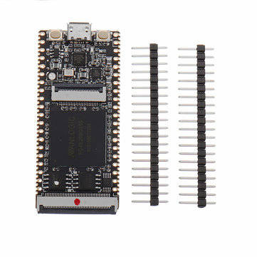 Lichee Tang 64Mbit SDRAM Onboard FPGA Downloader Dual Flash RISC-V Development Board